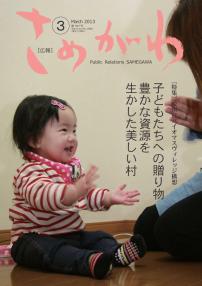 広報さめがわH25.3