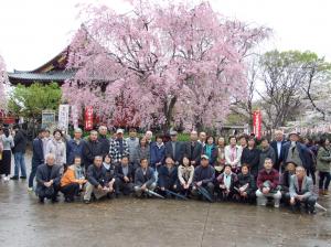 『花見園遊会』の画像