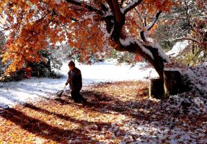 『秋の一コマ「福島民報賞」』の画像