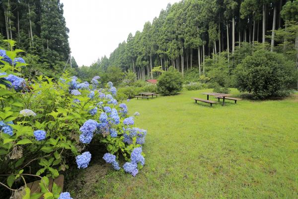 江竜田農村公園