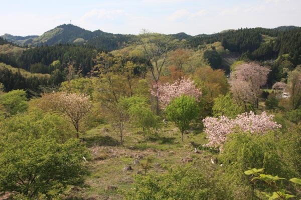 サンプル画像2