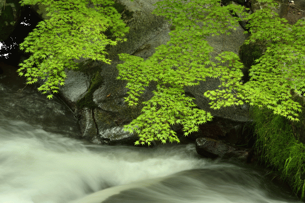 https://www.vill.samegawa.fukushima.jp/data/img/1597300910_43.gif