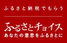 チョイス2