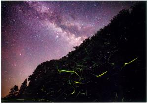 審査員長特別賞（星景写真）_乱舞1_水野　晴夫