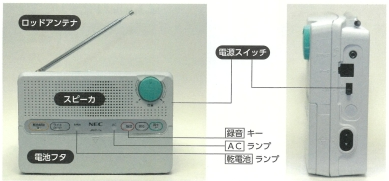 サンプル画像