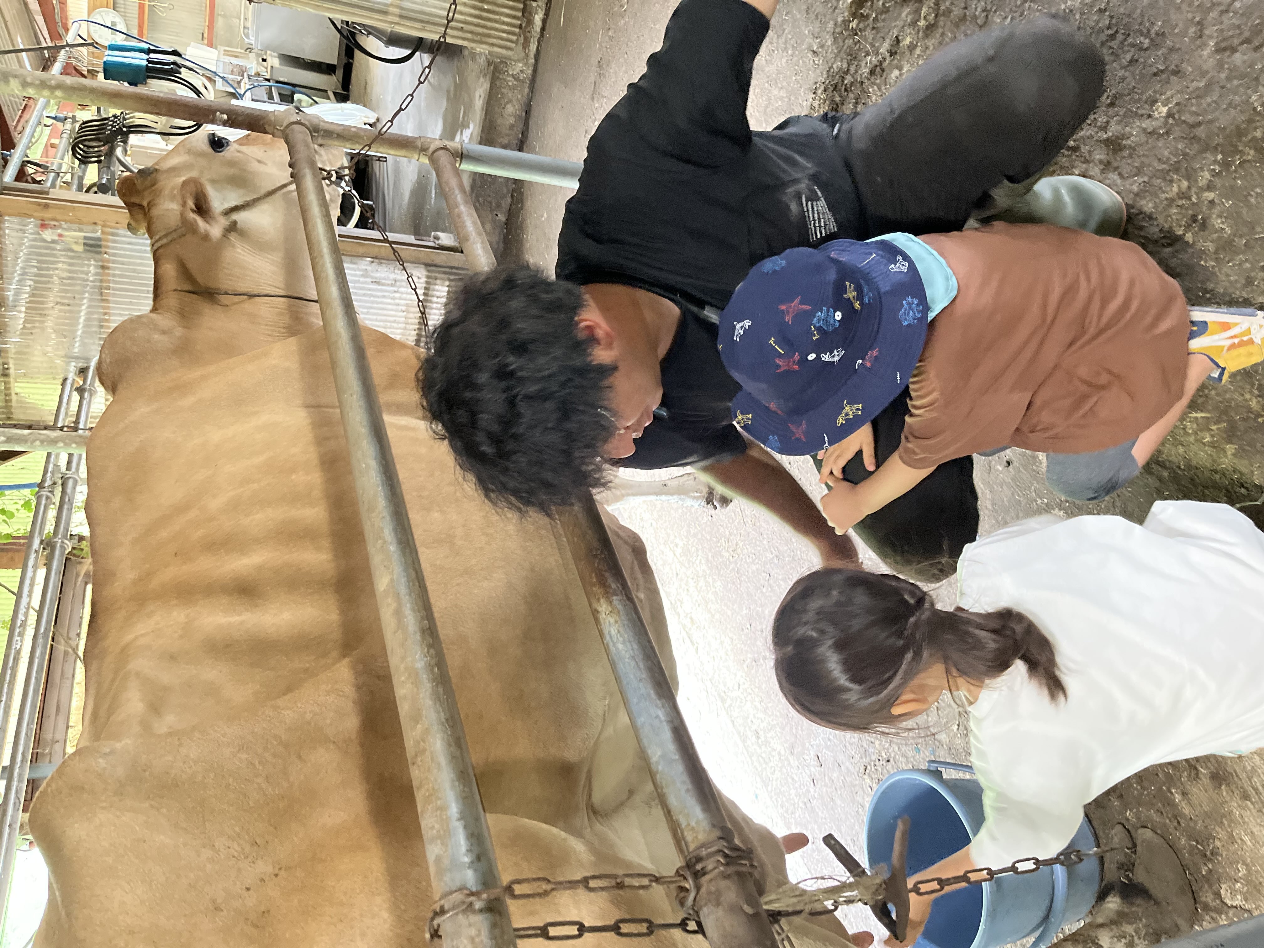 保育園留学体験メニュー（乳しぼり体験20250822_1）