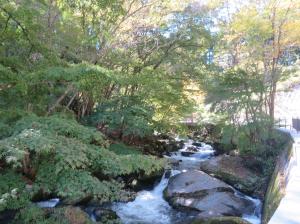 強滝紅葉中流(3)