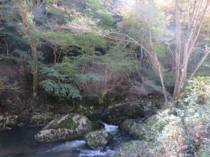 強滝紅葉下流(1)