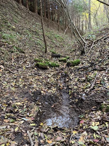 保育園留学体験メニュー(源流探索体験20251104_2)