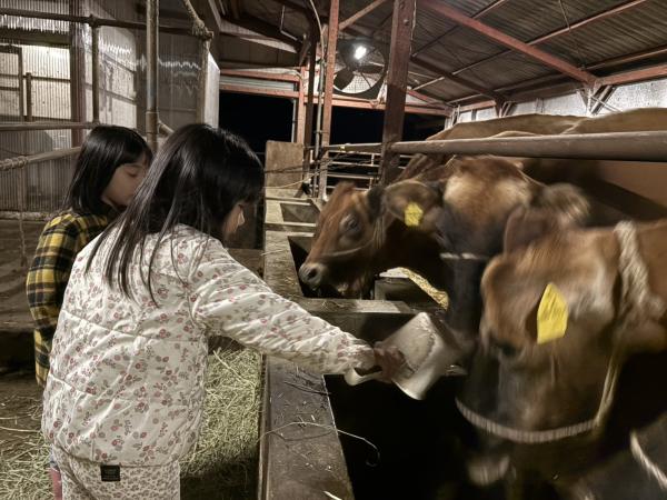 保育園留学体験メニュー(乳しぼり体験20251104_2)