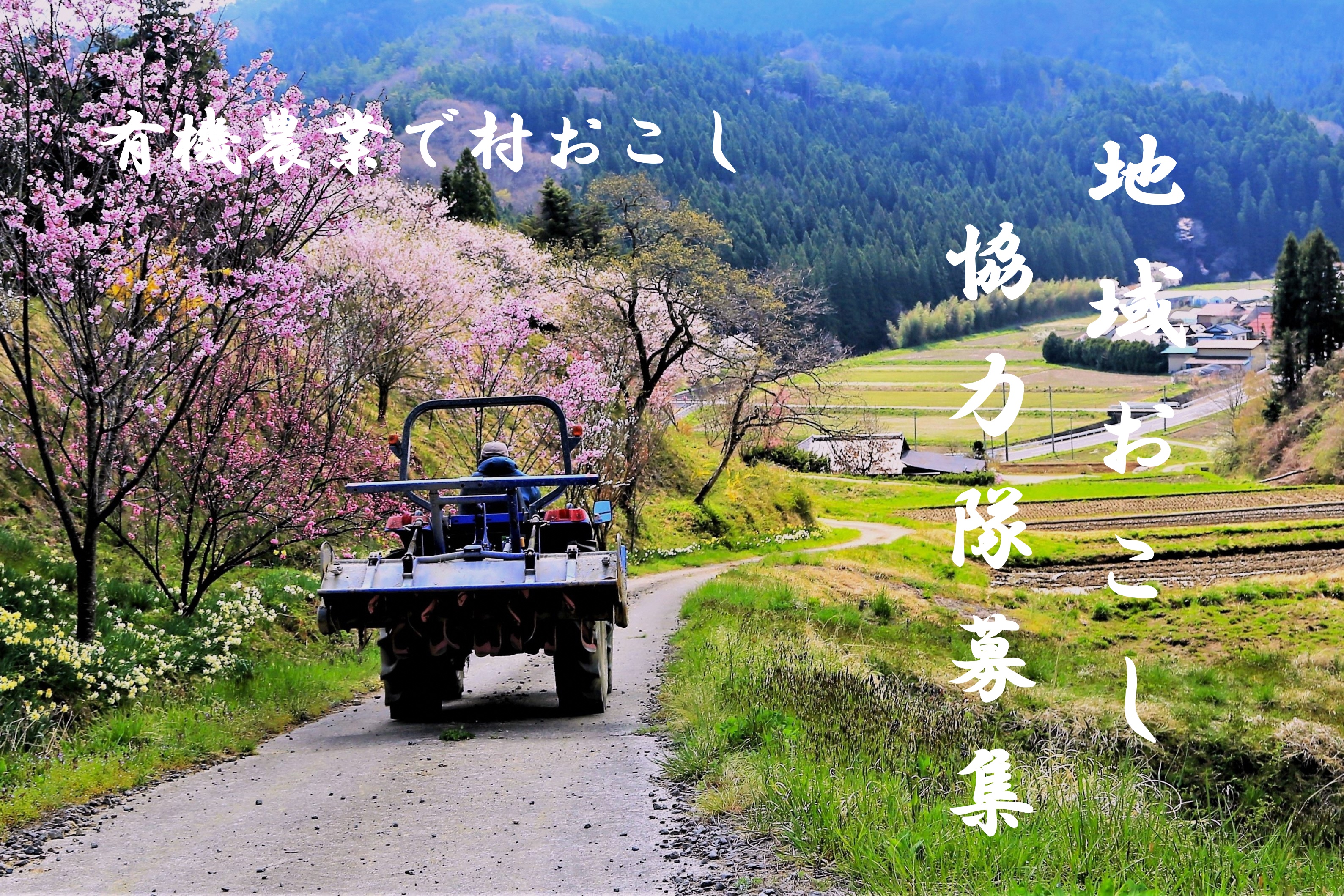 有機農業地域おこし協力隊