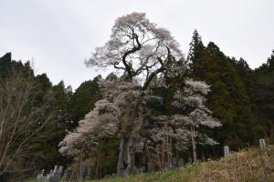二段田0413_01
