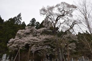 二段田0413_02