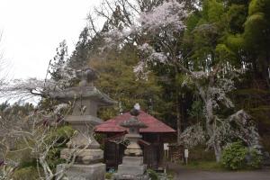 長遠寺0413_01