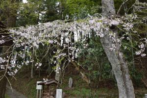 長遠寺0413_02