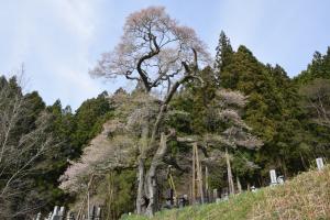 二段田0417_01