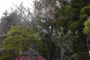 長遠寺0417_01