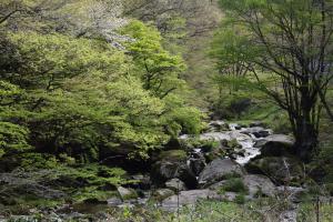 強滝0422_01