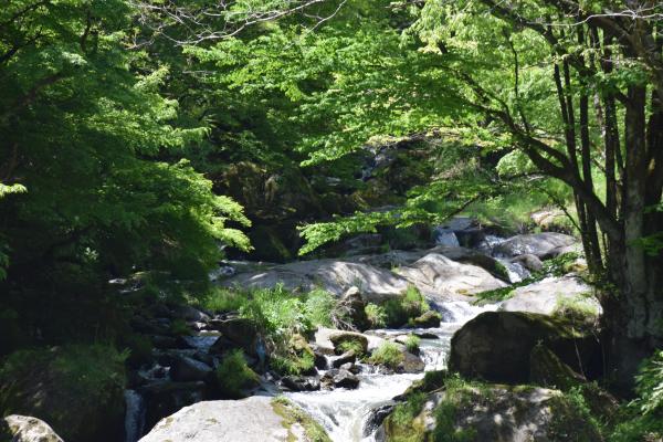強滝0507_01