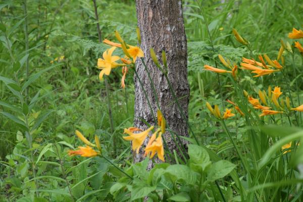 舘山0526_01