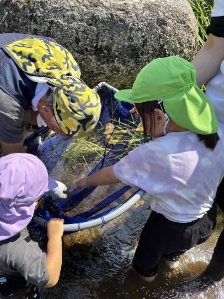 保育園留学体験メニュー(川の生き物調査20260804_1)