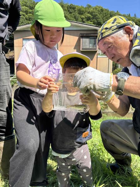 保育園留学体験メニュー(川の生き物調査20260804_2)