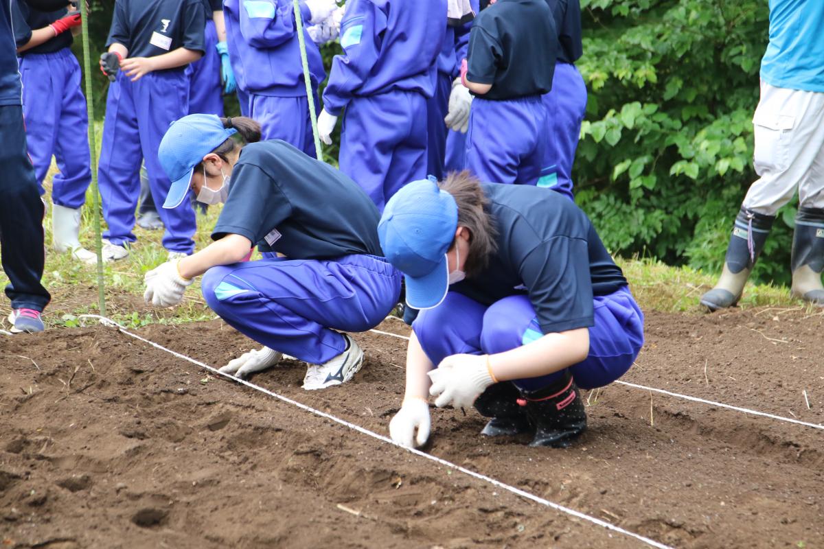 『大豆の栽培を始めました。』の写真