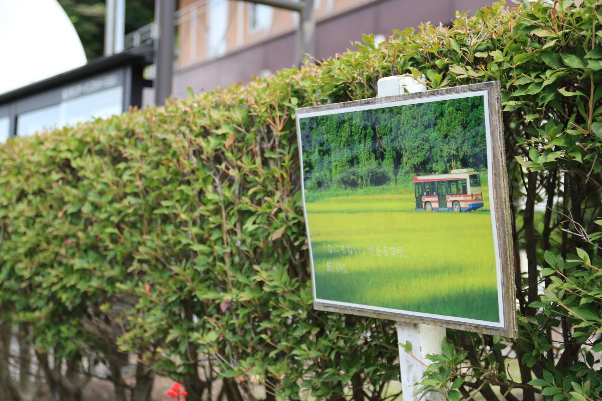 『見つけてみてください』の写真