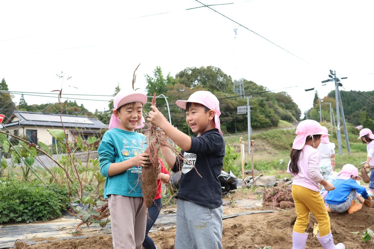 『大きなお芋ほれたよ！』の写真