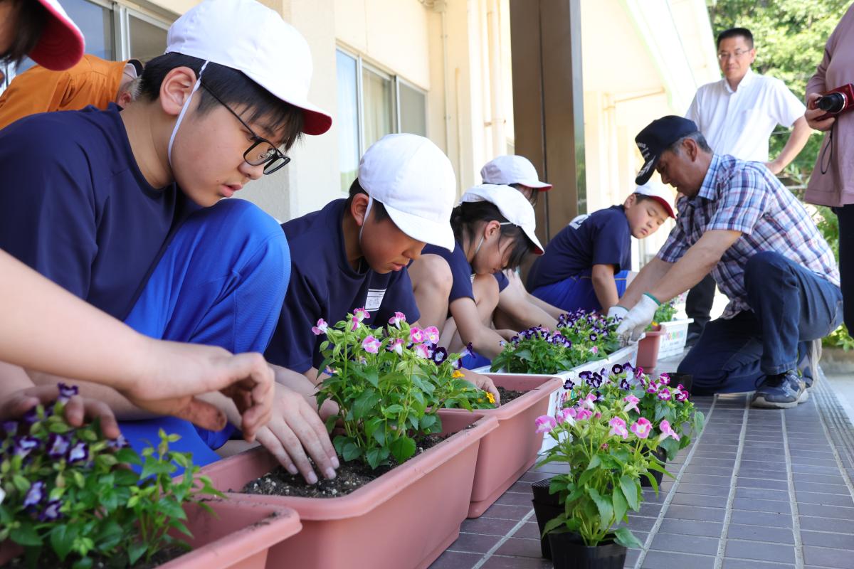 『人権の花運動』の写真