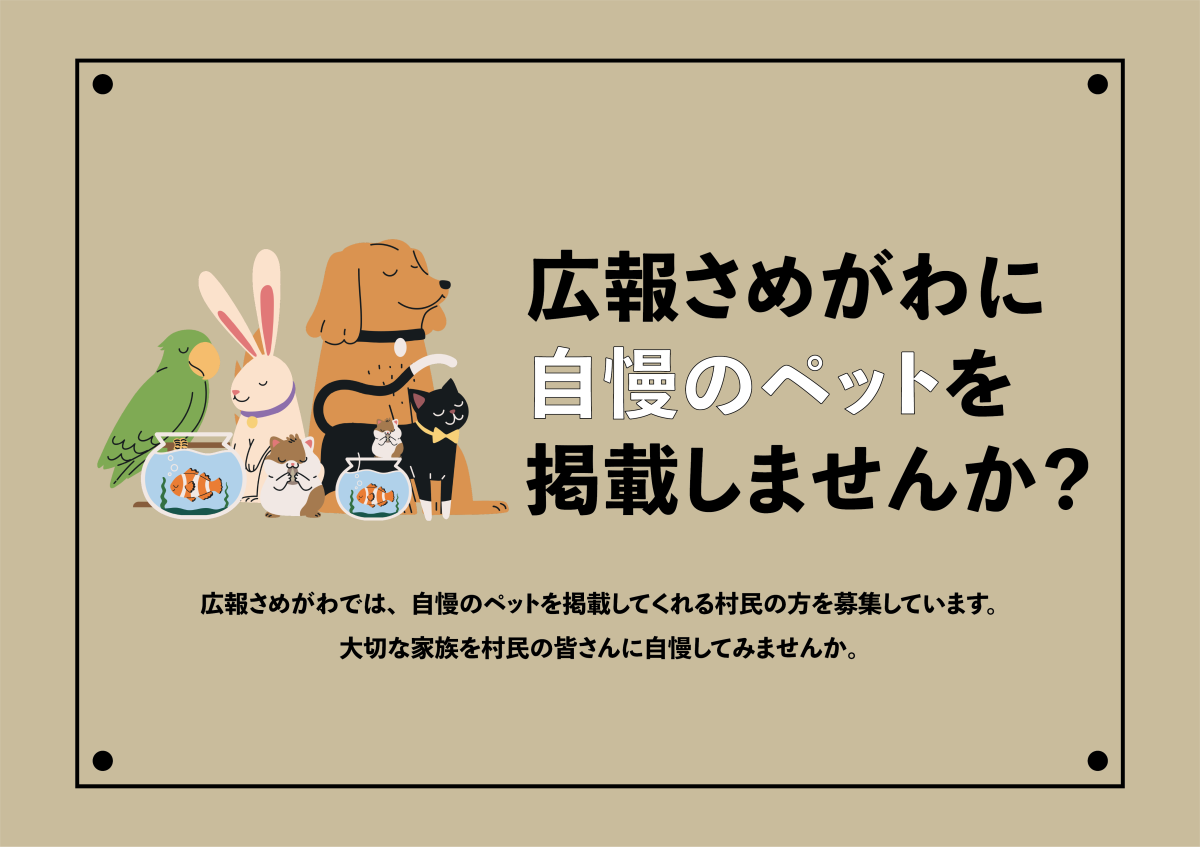 広報さめがわに自慢のペットを掲載しませんか