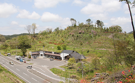 舘山公園の画像