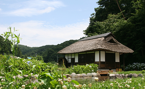 遠ヶ竜ふれあい公園の画像