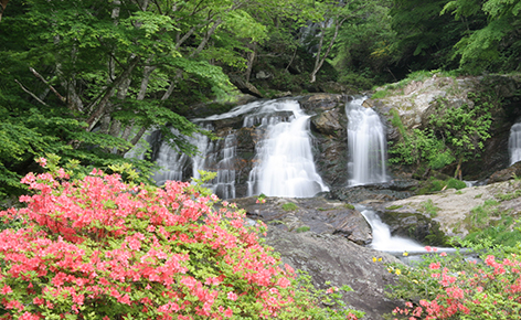 江竜田の滝の画像